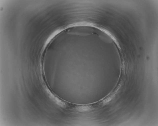 X0000080690998200612221048