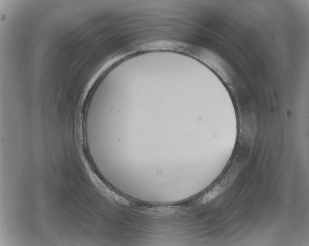 X0000080691000200612221048