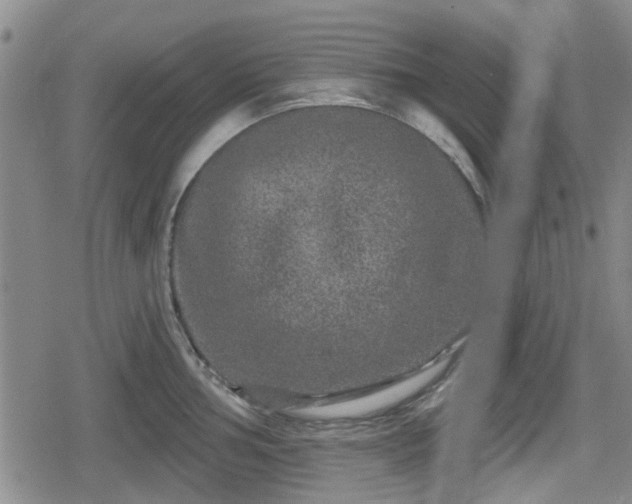 X0000080691002200612221048