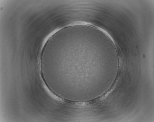 X0000080691003200612221048