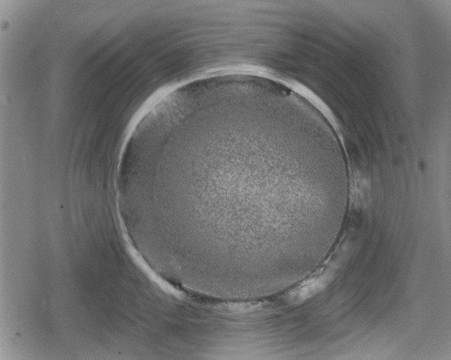 X0000080691005200612221048