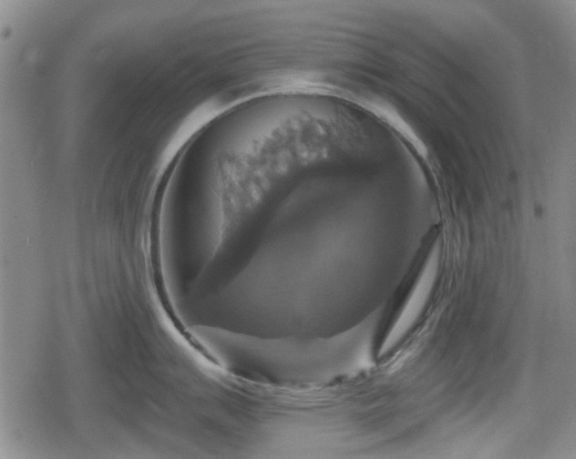 X0000080691007200612221048