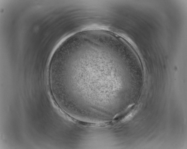 X0000080691008200612221048