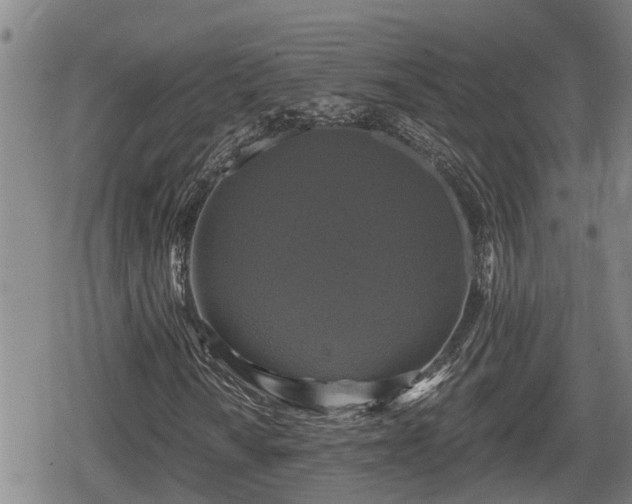 X0000080691010200612221047