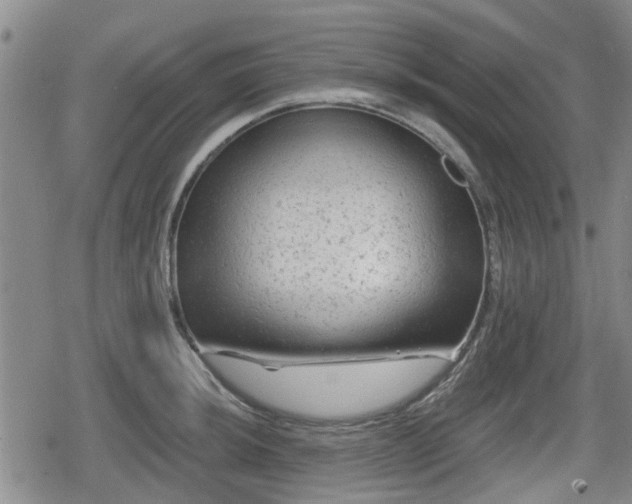 X0000080691044200612221048