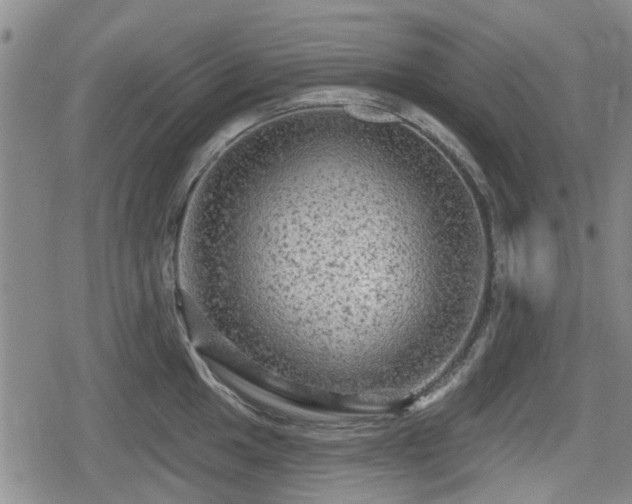 X0000080691049200612221048