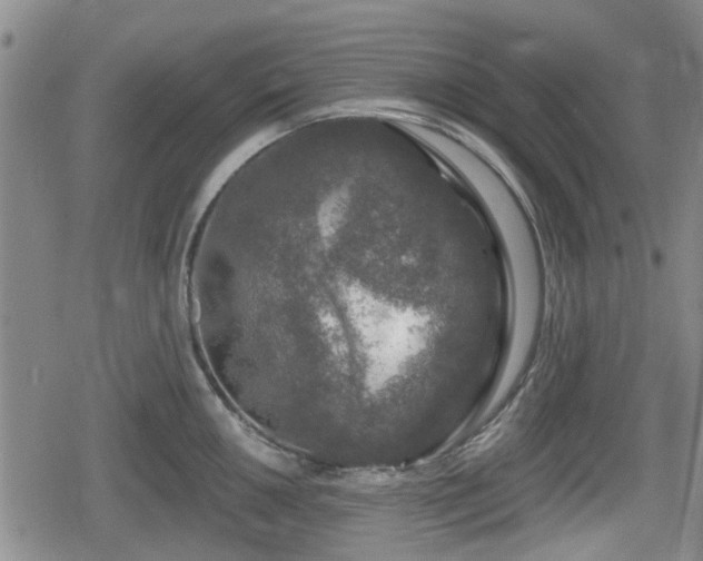 X0000080691050200612221048