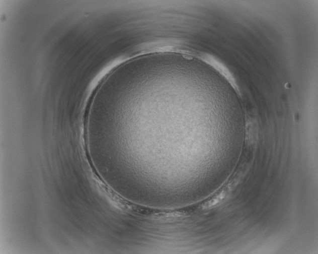 X0000080691051200612221048