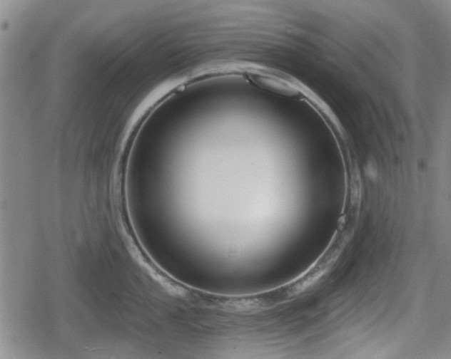 X0000080691053200612221048