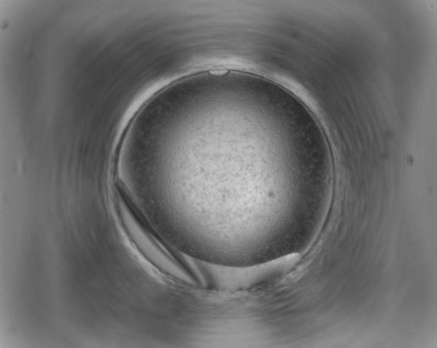 X0000080691056200612221048