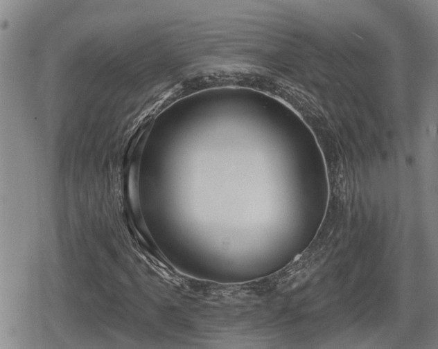 X0000080691061200612221047