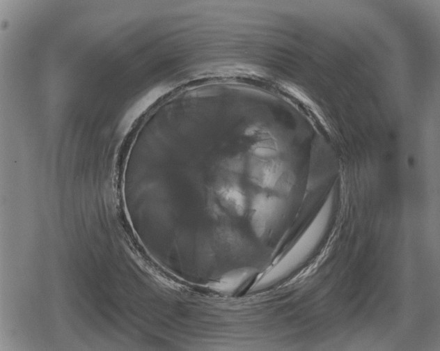X0000080691071200612221047