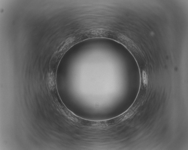 X0000080691107200612221045