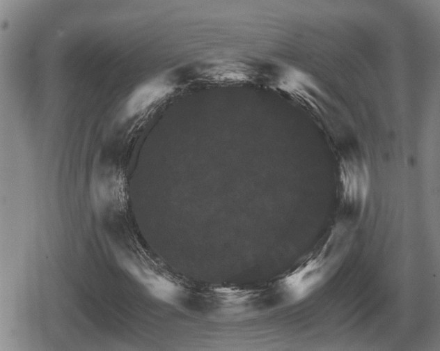 X0000080691108200612221045