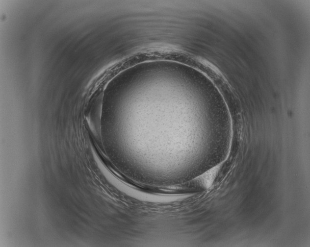 X0000080691112200612221046