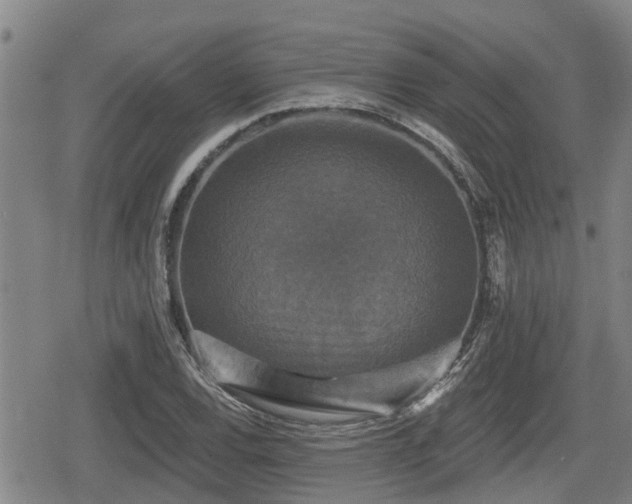 X0000080691120200612221046