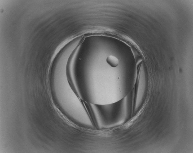 X0000080691122200612221046