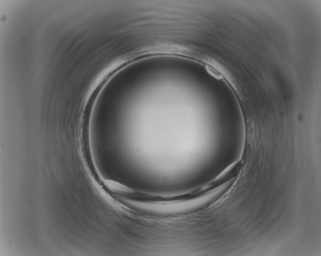 X0000080691139200612221046