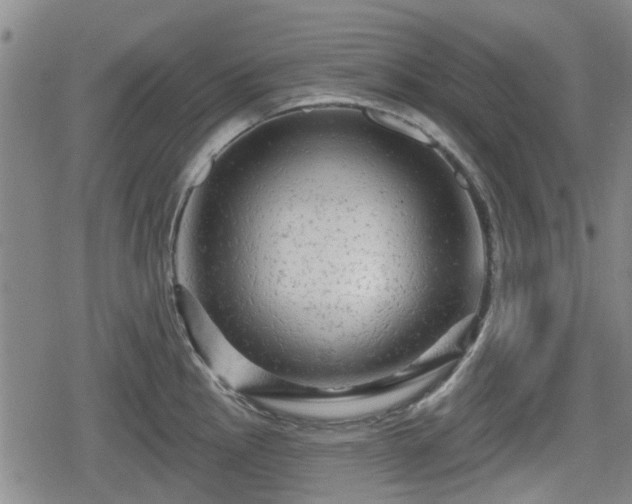 X0000080691145200612221046