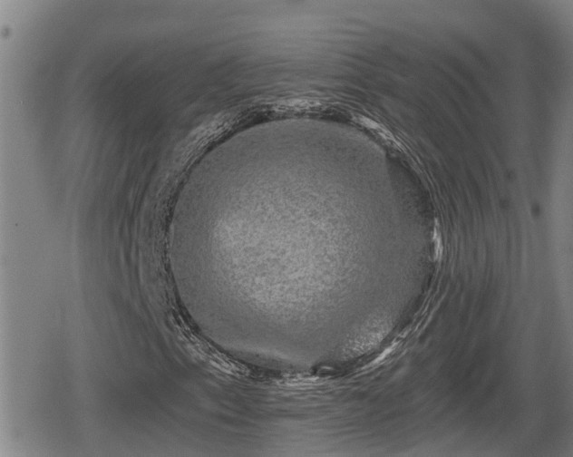 X0000080691153200612221045