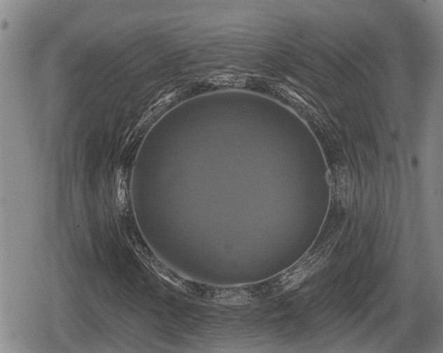 X0000080691154200612221045