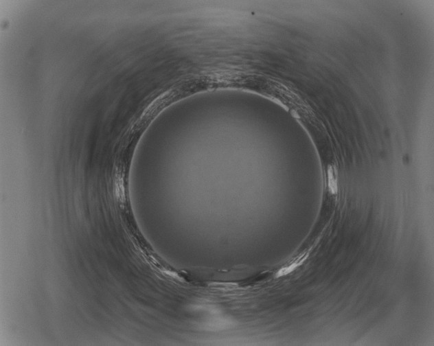 X0000080691155200612221045