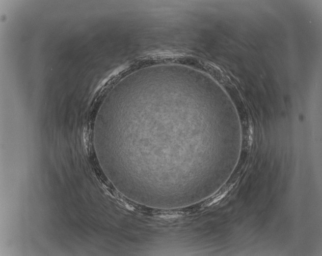 X0000080691157200612221045