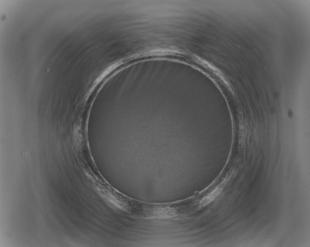X0000080691170200612221045