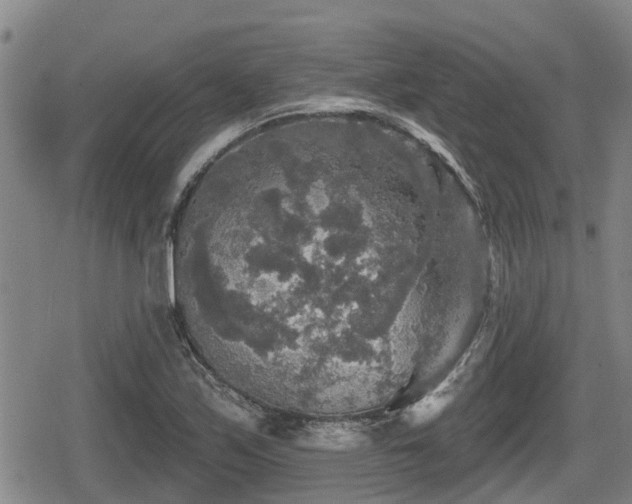 X0000080691171200612221045
