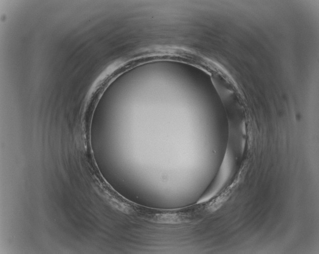 X0000080691172200612221045