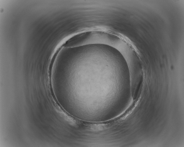 X0000080691184200612221045