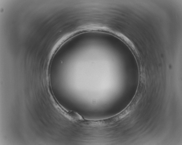 X0000080691191200612221045
