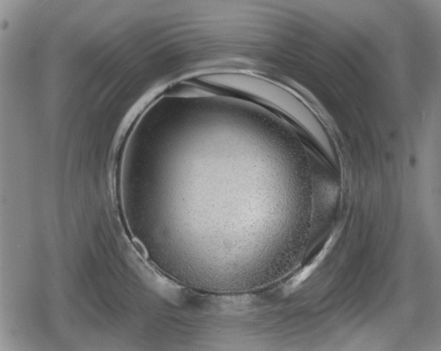X0000080691196200612221045