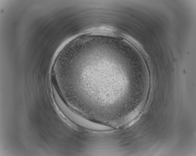 X0000080691200200612221045