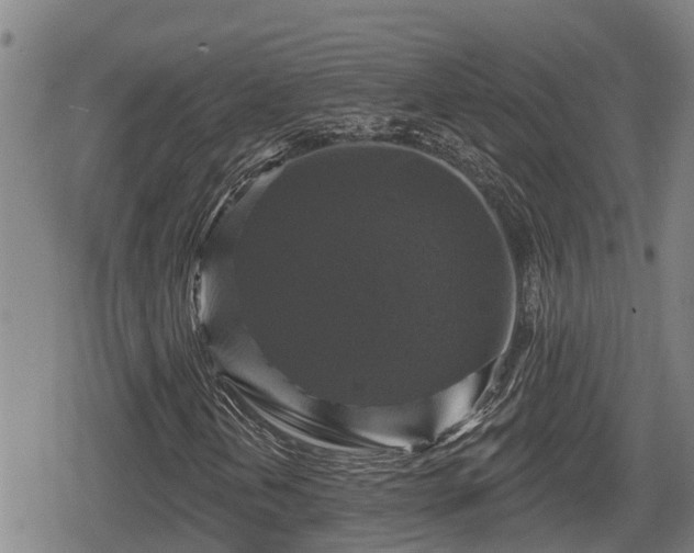 X0000080691202200612221044