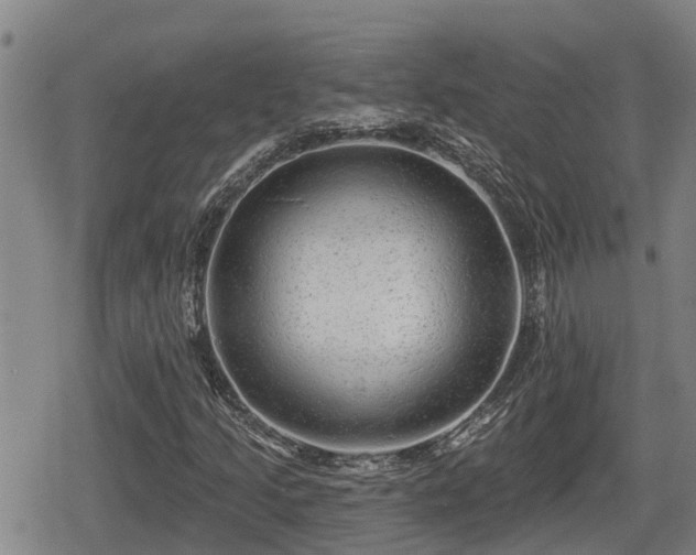 X0000080691205200612221044