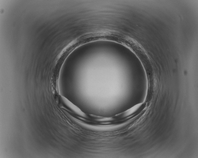 X0000080691210200612221044