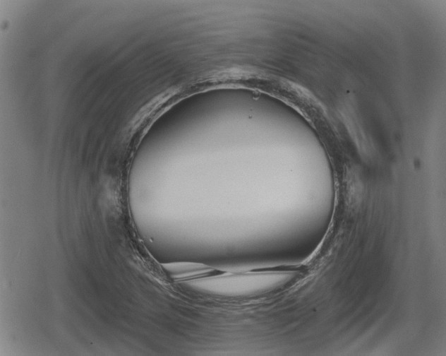 X0000080691217200612221044