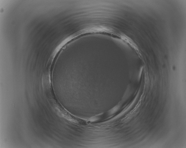 X0000080691226200612221044