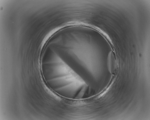 X0000080691239200612221045