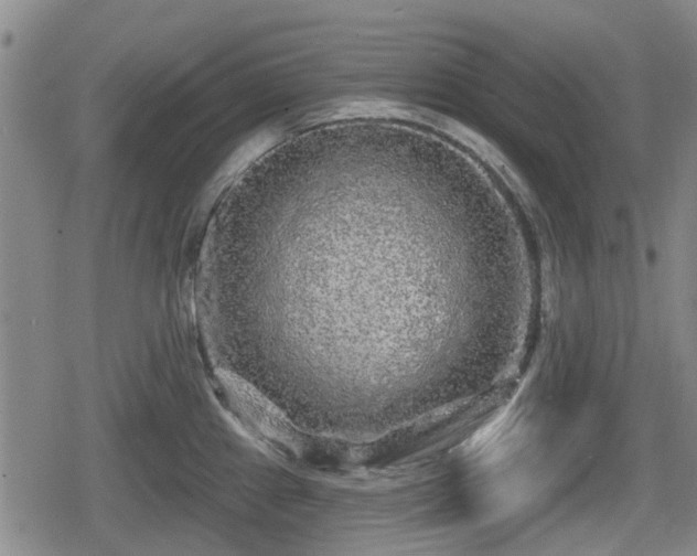 X0000080691241200612221045