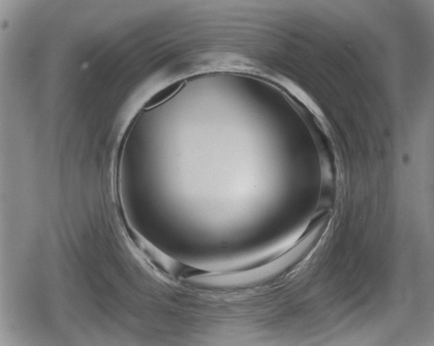 X0000080691246200612221045