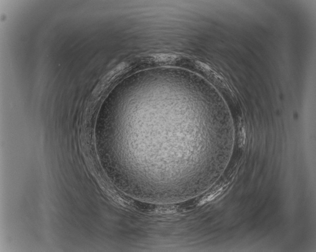 X0000080691249200612221044