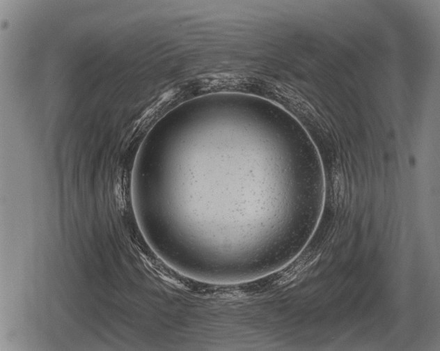 X0000080691250200612221044