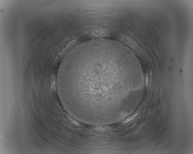 X0000080691251200612221044