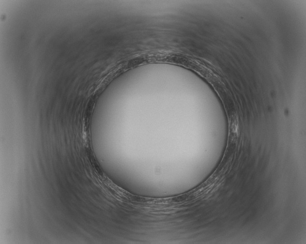 X0000080691252200612221044