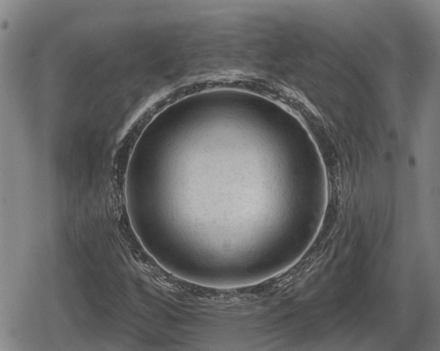 X0000080691256200612221044