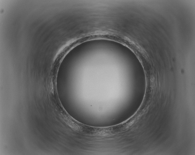 X0000080691262200612221044