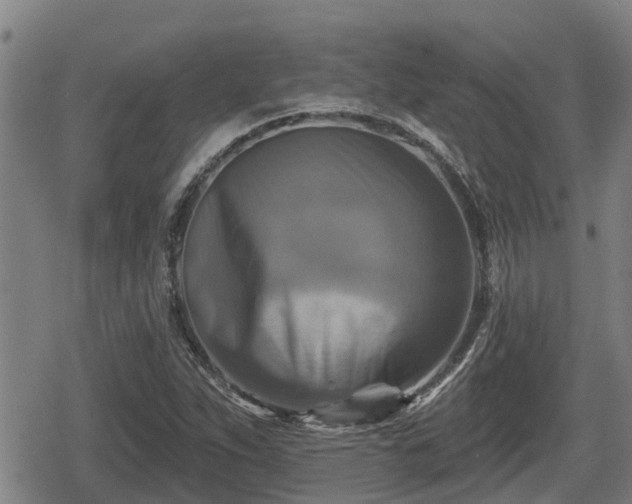 X0000080691263200612221044