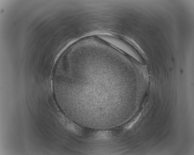 X0000080691268200612221044